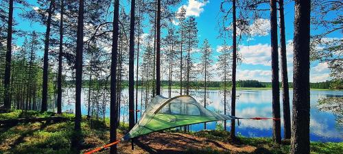 Baumzelte direkt am See gelegen