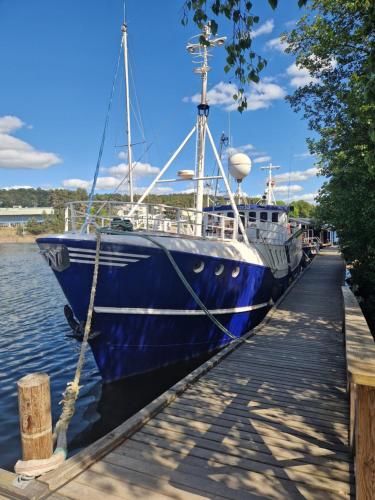 Ship Windö